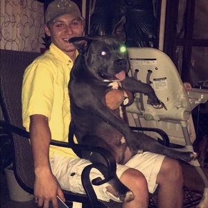 Meet your Posher, Dalton